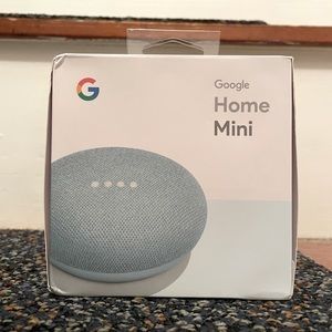 Aqua Google Home Mini